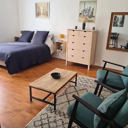 Studio Avec Terrasse Et Place De Parking Тулуза Екстериор снимка