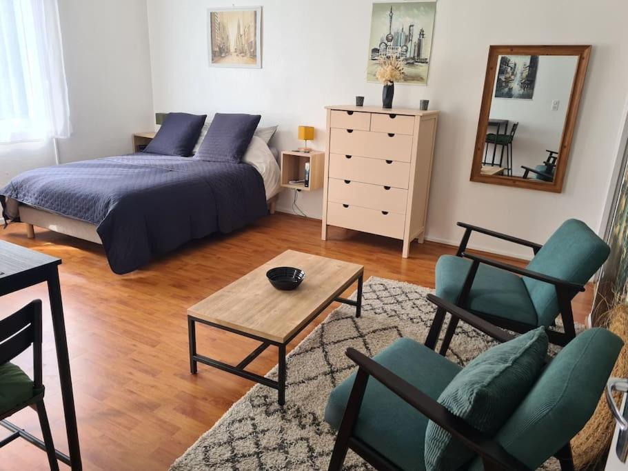 Studio Avec Terrasse Et Place De Parking Тулуза Екстериор снимка