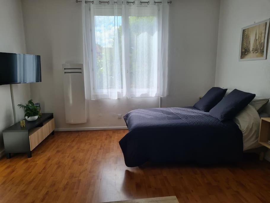 Studio Avec Terrasse Et Place De Parking Тулуза Екстериор снимка